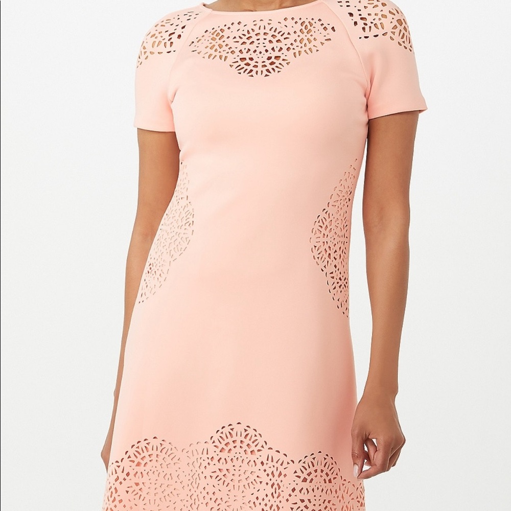 Tahari Laser Cut Shift Dress - Picture 6 of 7